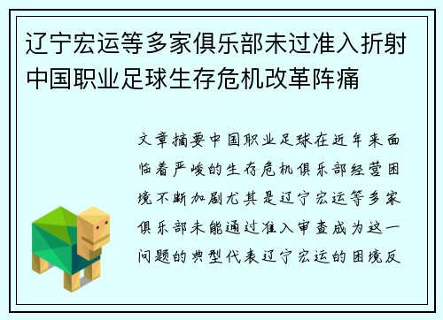 辽宁宏运等多家俱乐部未过准入折射中国职业足球生存危机改革阵痛